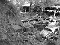 Autofriedhof - 110